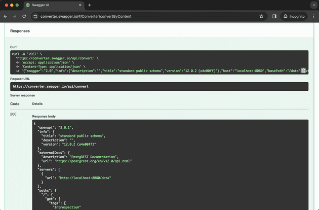 Swagger Converter output